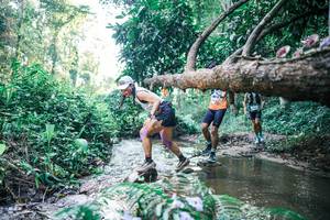 BIB: 
                            <button type="button" onclick="openModal(25430892)" class="btn btn-primary btn-sm float-right btn-popup" data-toggle="modal" data-target=".modal-high-quality">
                        <i class="fas fa-shopping-cart"></i> Add to Cart
                    </button>
                                            <button type="button" onclick="isThisMe(25430892, true)" class="btn btn-success btn-sm float-right btn-popup btn-isme hidden" data-toggle="tooltip" data-placement="bottom" title="นี่คือรูปของคุณใช่ไหม คลิกที่นี่เพื่อเอาเข้าอัลบั้ม">
                        <i class="fas fa-plus"></i> Add to album
                    </button>
                    <button type="button" onclick="isThisMe(25430892, false)" class="btn btn-warning btn-sm float-right btn-popup btn-isnotme hidden">
                        <i class="fas fa-ban"></i> Remove from album
                    </button>